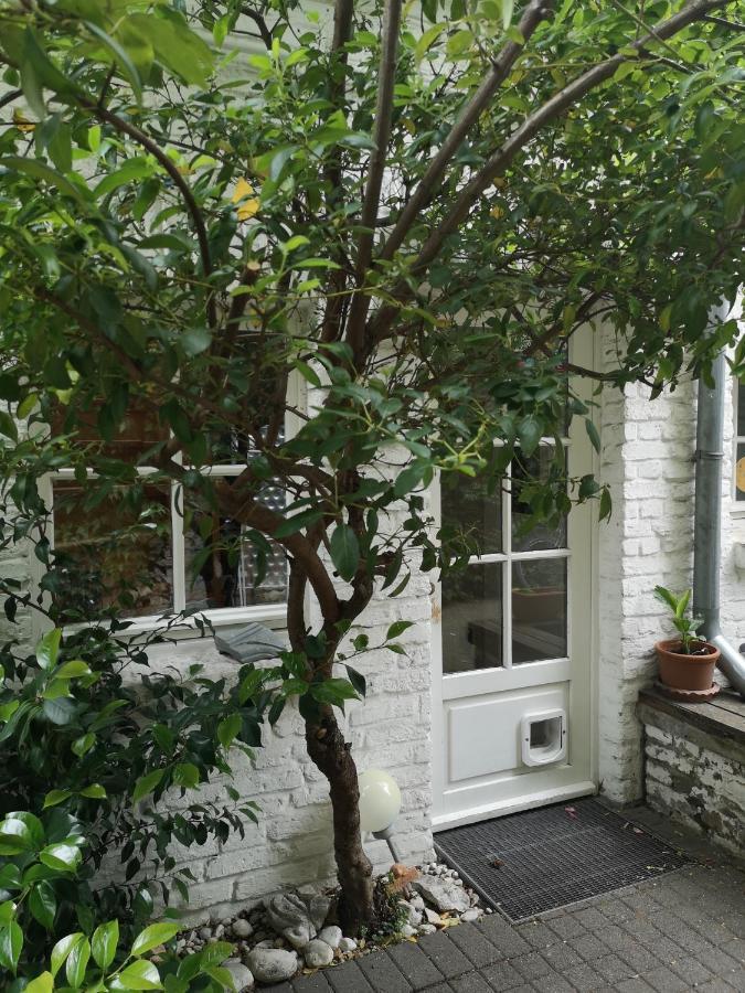 May-Apartment Koeln Zentrale Ferienwohnung Esterno foto